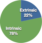 Intrinsic: 78% Extrinsic: 22%