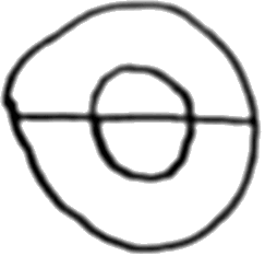 Two concentric circles with a diameter line drawn through them.