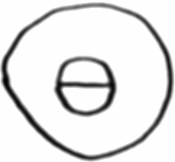 Two concentric circles with a diameter drawn through the smaller circle.